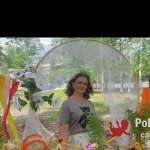 Светлана, 42 года